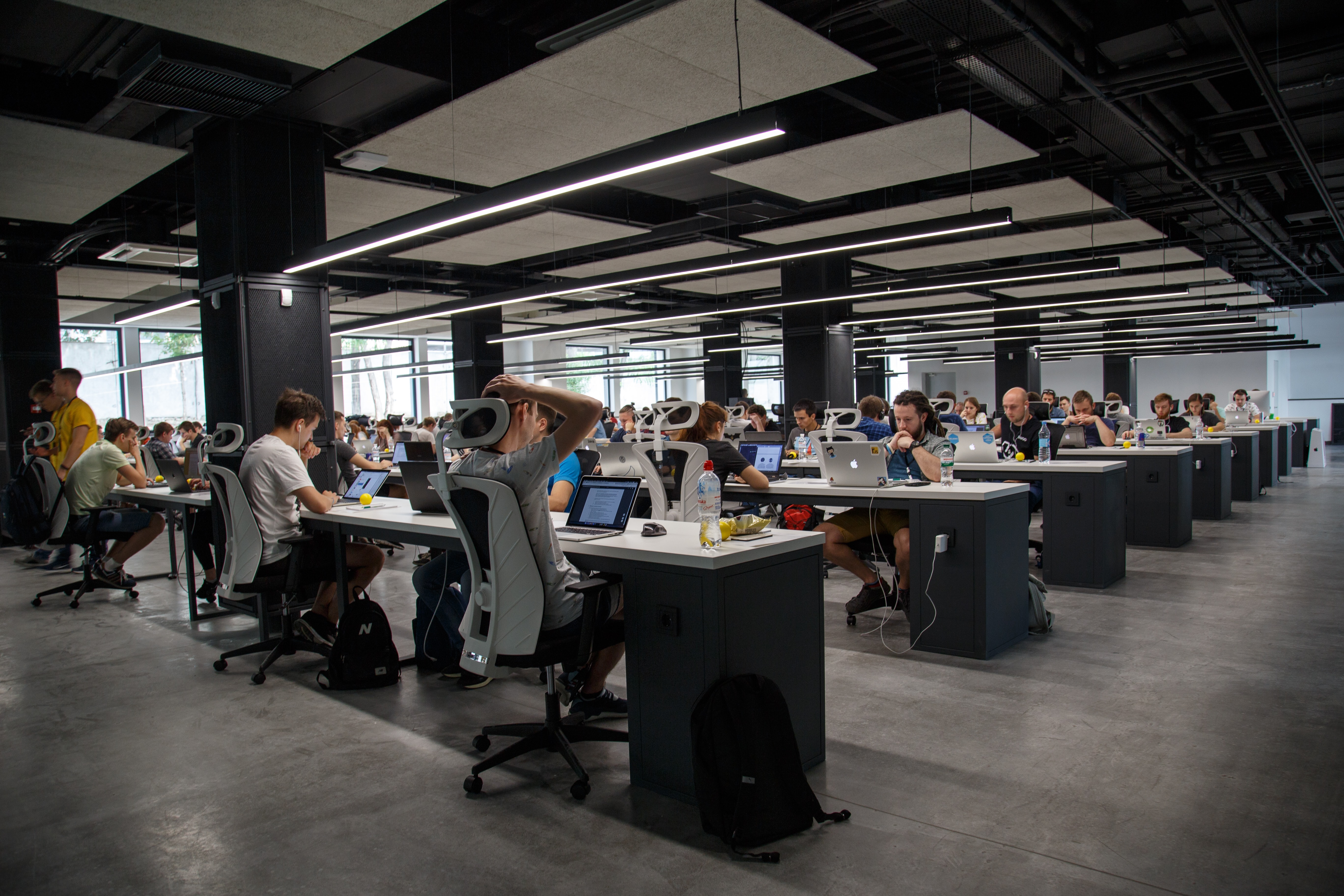 Employees working at desks